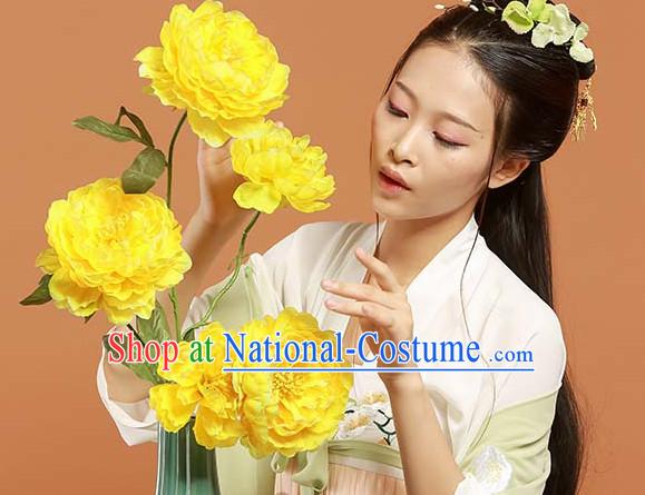 Asian Fashion Chinese Ancient Tang Dynasty Embroidered Cranes Clothes Costume China online Shopping Traditional Costumes Dress Wholesale Culture Clothing and Hair Accessories for Women