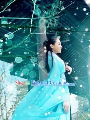 Skyblue Romantic Fairy Costumes