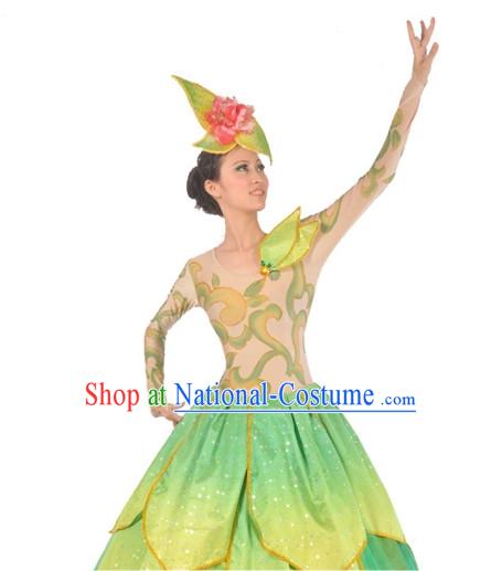 China Dance Costumes Ballerina Costume Burlesque Costumes Salsa Costumes,