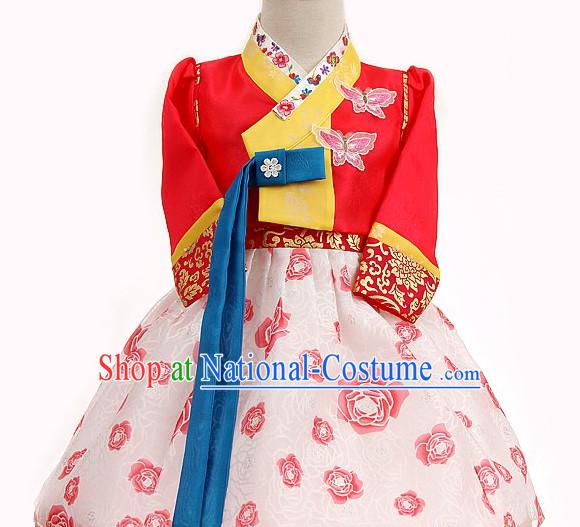 Folk Korean Foral Special Occasion Dress for Children