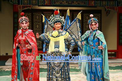 Chinese Ancient Wu Tan Costumes Fighting or Military Female Character Costume Three Sets