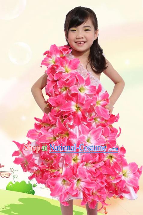 Traditional Chinese Dance Costumes Costume for Kids