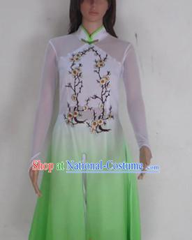 Chinese Teenagers Classical Dance Costume for Competition