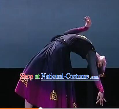 Chinese Folk Dance Costume Competition Costumes Set