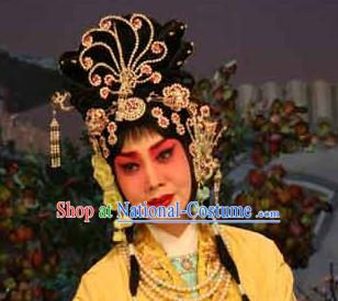 Chinese Opera Hua Tan Wigs and Hair Accessories Complete Set