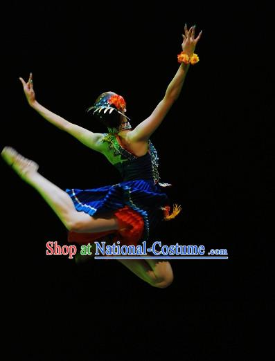 Chinese ethnic She Dance costumes Dancewear Asian Dancewear folk Dance