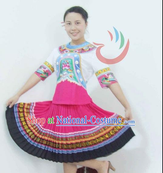 Traditional Chinese Miao Nationality Dancing Costume, Hmong Female Folk Dance Ethnic Pleated Skirt, Chinese Minority Nationality Embroidery Costume for Women