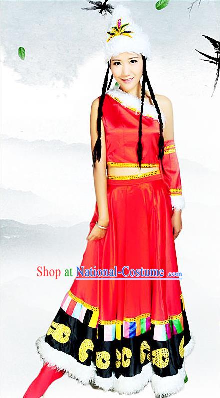 Traditional Chinese Zang Nationality Dancing Costume, Tibetan Female Folk Dance Ethnic Pleated Skirt, Chinese Minority Tibetan Nationality Embroidery Costume for Women