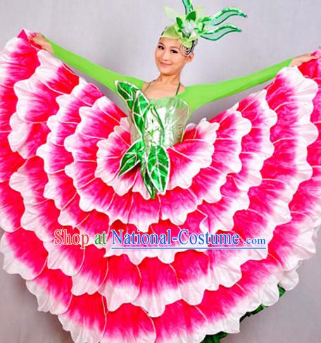 Chinese Classicial Flower Dancing Costumes Dancewear and Headpieces Complete Set for Women