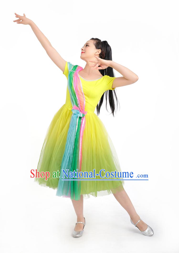 Chinese Competition Stage Dance Costumes Female Dance Costumes Folk Dances Ethnic Dance Fan Dance Dancing Dancewear for Women