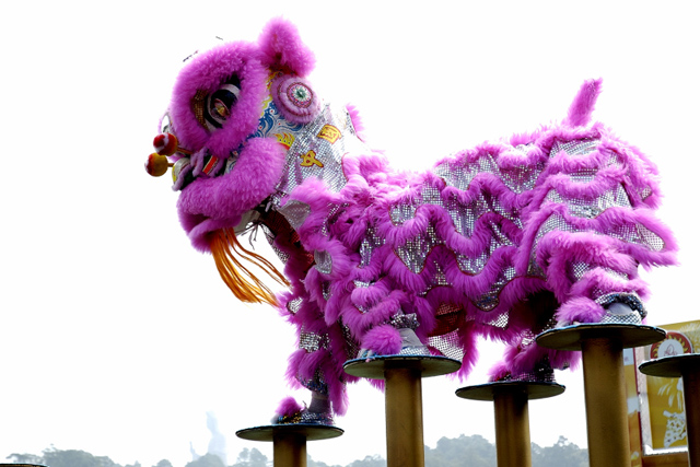 Purple Top Chinese Traditional Lion Dance Costumes Complete Set