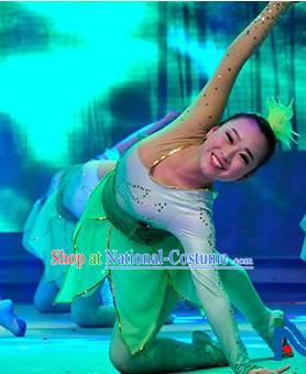 Chinese Stage Big Event Entertainment Dancing Dancewear Costumes Dancer Costumes Dance Costumes Chinese Dance Clothes Traditional Chinese Clothes Complete Set