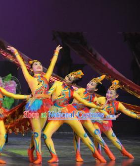 Chinese Stage Acrobatic Dancing Dancewear Costumes Dancer Costumes Dance Costumes Chinese Dance Clothes Traditional Chinese Clothes Complete Set for Women Kids