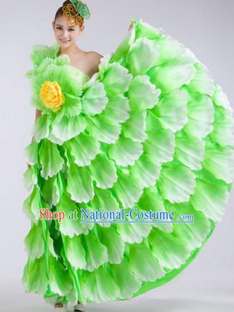 Green Chinese Stage Performance Flower Dancewear Costume and Headdress Complete Set for Women