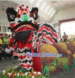 Big Opening Ceremony 100_ Natural Long Wool Lion Dance Equipment Complete Set