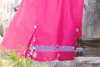 South Korean Embroidered Clothing Traditional Korean Dress Traditional National Costume