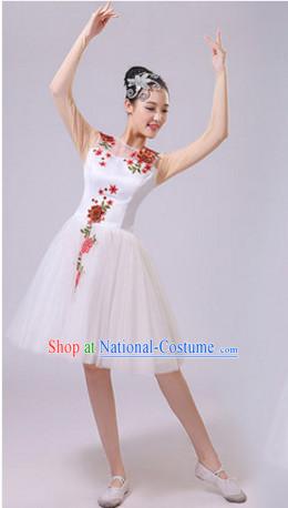 Chinese Theater Traditional Dance Ribbon Dancing Long Sleeve Leotard China Fan Dance Costume Complete Set for Women Girls