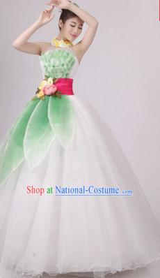 Chinese Flower Dance Costume Dance Costumes Fan dance Umbrella Ribbon Fans Water Sleeve Dancer Dancing Costumes Complete Set