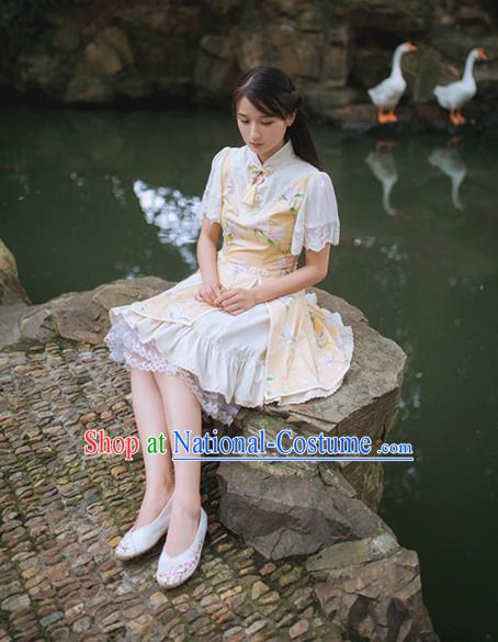 Traditional Classic Chinese Elegant Women Costume Champee One-Piece Dress, Restoring Ancient Princess Stand Collar Dress for Women