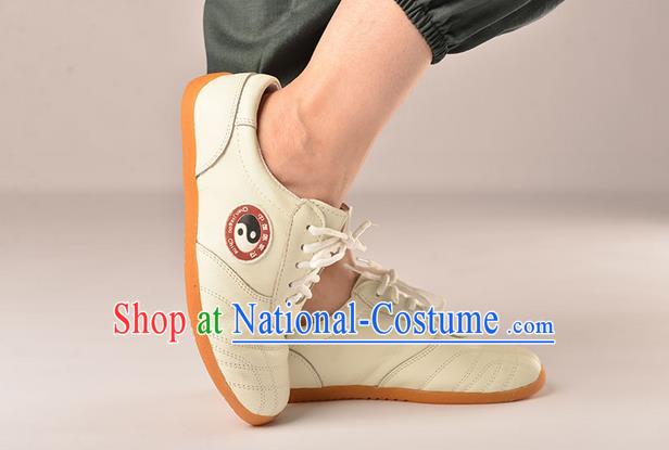 Traditional Chinese Top Kung Fu Shoes Martial Arts Kung Fu Training Tai Chi Taiji Shoes for Men