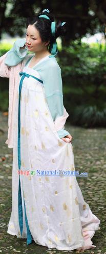 Traditional Chinese Tang Dynasty Princess Embroidered Costume, Asian China Ancient Hanfu Slip Skirt Clothing for Women