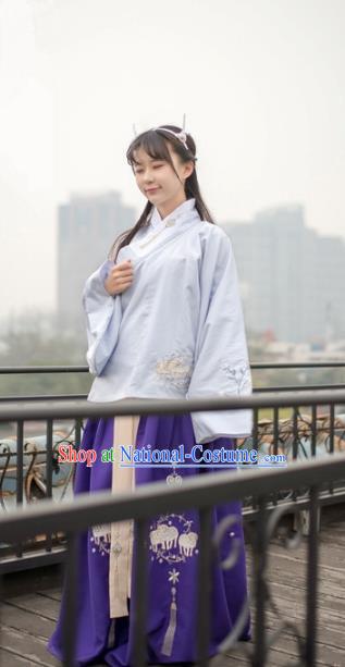 Traditional Chinese Ming Dynasty Palace Lady Hanfu Costume, Asian China Ancient Princess Dress Embroidered Clothing for Women