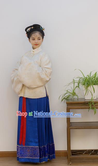 Traditional Chinese Ancient Costume Palace Lady Embroidered Blouse and Slip Skirt, Asian China Ming Dynasty Imperial Princess Hanfu Clothing for Women