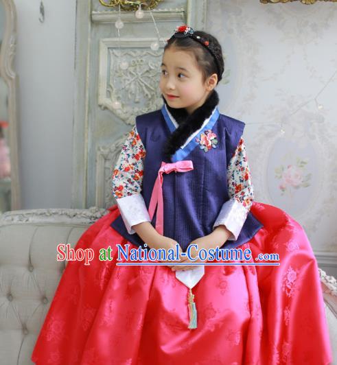 Traditional Korean Costumes Bride Formal Attire Ceremonial Red Dress, Korea Hanbok Court Embroidered Clothing for Kids