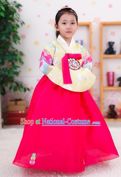 Traditional Korean Handmade Formal Occasions Costume Embroidered Baby Brithday Hanbok Blouse and Pink Dress Clothing for Girls