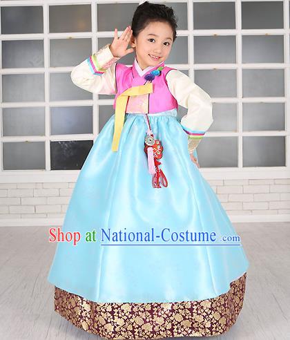 Traditional Korean Handmade Formal Occasions Costume Embroidered Baby Brithday Girls Pink Blouse and Blue Dress Hanbok Clothing