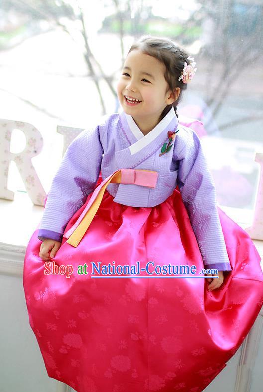 Traditional Korean Handmade Formal Occasions Costume Embroidered Purple Blouse and Pink Dress Hanbok Clothing for Girls