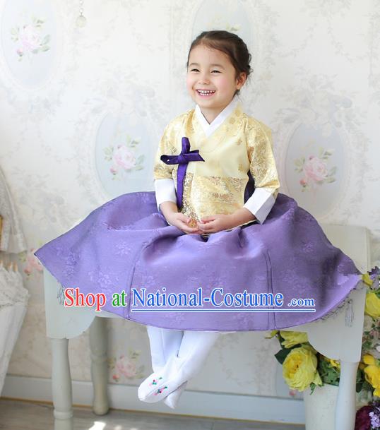 Asian Korean National Traditional Handmade Formal Occasions Costume, Palace Wedding Embroidered Purple Hanbok Clothing for Girls