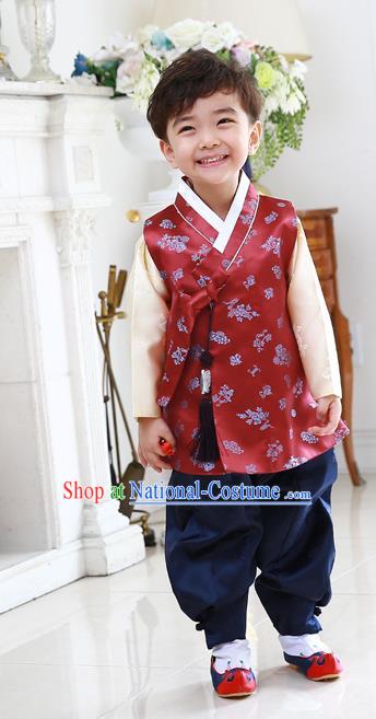 Asian Korean National Traditional Handmade Formal Occasions Embroidered Thronfolger Costume Wedding Red Hanbok Clothing for Boys