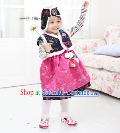 Asian Korean National Traditional Handmade Formal Occasions Girls Embroidery Hanbok Costume Blue Vest and Dress Complete Set for Kids