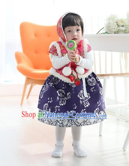 Asian Korean National Traditional Handmade Formal Occasions Girls Embroidery Hanbok Costume Pink Vest and Blue Dress Complete Set for Kids