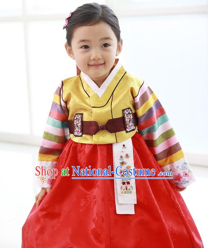 Traditional Korean National Handmade Formal Occasions Girls Hanbok Costume Embroidered Yellow Blouse and Red Dress for Kids