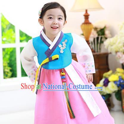 Traditional Korean National Handmade Formal Occasions Girls Hanbok Costume Embroidered Blue Blouse and Pink Dress for Kids