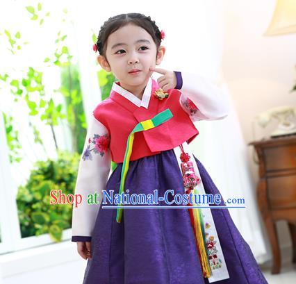 Traditional Korean Hanbok Clothing Fashion Apparel Hanbok Costume and Headwear