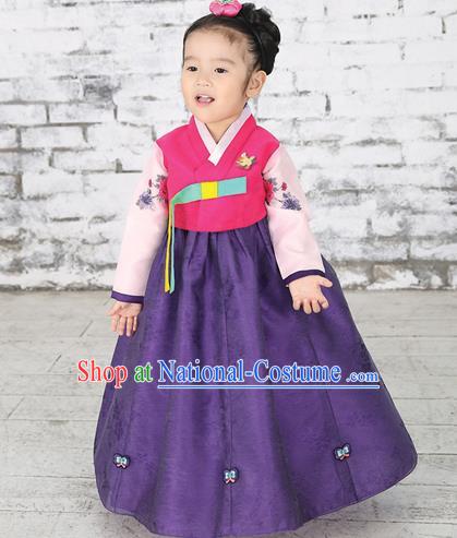 Traditional Korean National Handmade Formal Occasions Girls Hanbok Costume Embroidered Red Blouse and Purple Dress for Kids