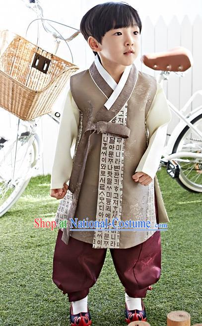 Asian Korean National Traditional Handmade Formal Occasions Boys Embroidery Brown Hanbok Costume Complete Set for Kids