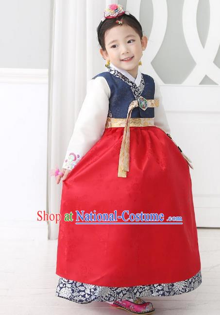 Traditional Korean National Handmade Formal Occasions Girls Palace Hanbok Costume Embroidered Navy Blouse and Red Dress for Kids