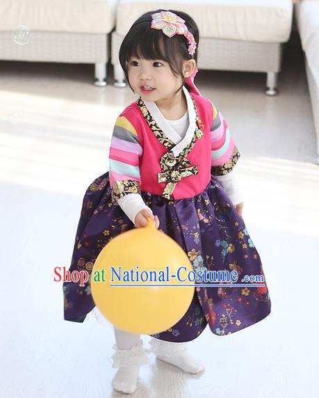 Traditional Korean National Handmade Formal Occasions Girls Embroidery Hanbok Costume Pink Blouse and Purple Dress Complete Set for Kids