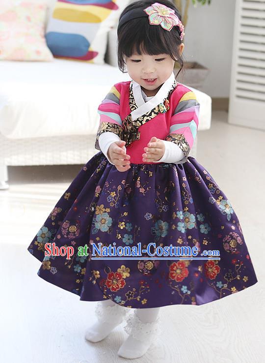 Traditional Korean Hanbok Clothing Fashion Apparel Hanbok Costume and Headwear