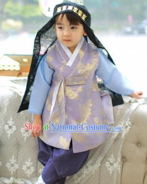 Asian Korean National Traditional Handmade Formal Occasions Boys Embroidery Lilac Hanbok Costume Complete Set for Kids