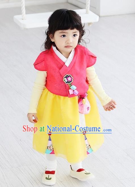 Asian Korean National Handmade Formal Occasions Embroidered Pink Blouse and Yellow Dress Hanbok Costume for Kids