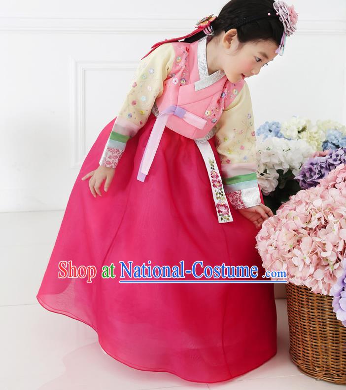 Asian Korean National Handmade Formal Occasions Embroidered Pink Blouse and Dress Hanbok Costume for Kids