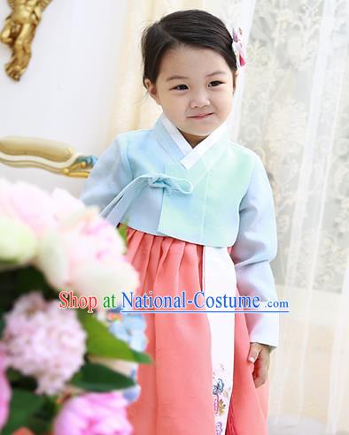 Asian Korean National Handmade Formal Occasions Wedding Clothing Blue Blouse and Pink Dress Palace Hanbok Costume for Kids