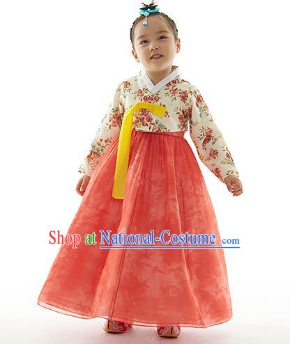 Asian Korean National Handmade Formal Occasions Printing Blouse and Pink Dress Palace Hanbok Costume for Kids