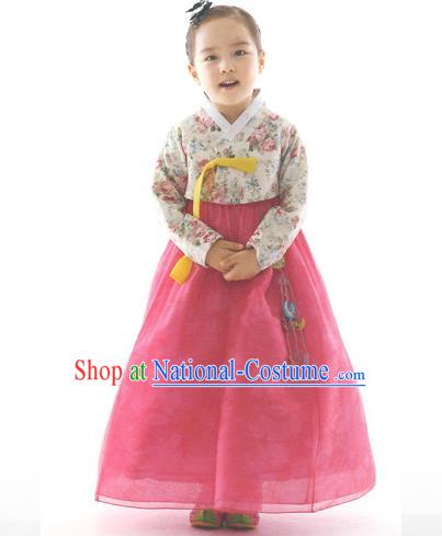 Asian Korean National Handmade Formal Occasions Wedding Clothing Printing Blouse and Pink Dress Palace Hanbok Costume for Kids