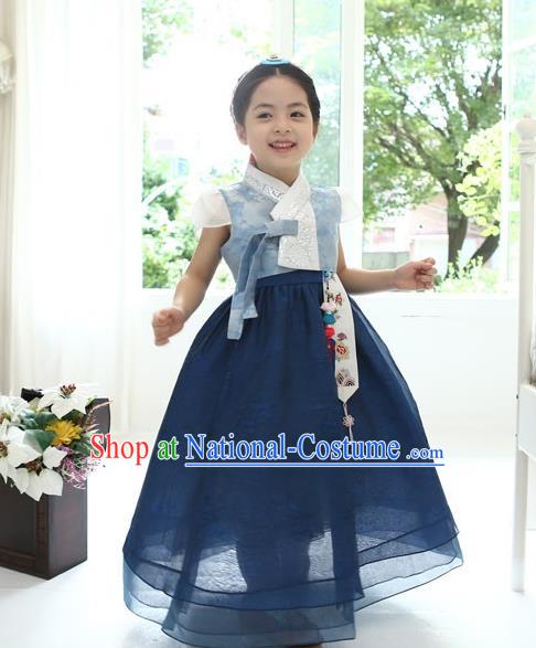 Asian Korean National Handmade Formal Occasions Wedding Bride Clothing Embroidered Blue Blouse and Dress Palace Hanbok Costume for Kids